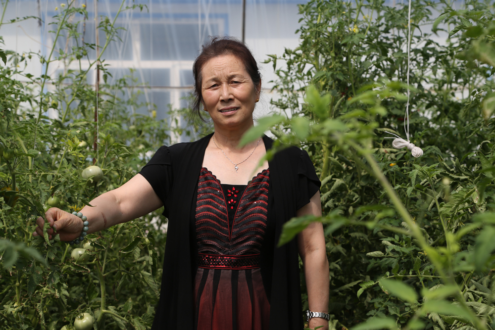 bwin·必赢(中国)唯一官方网站